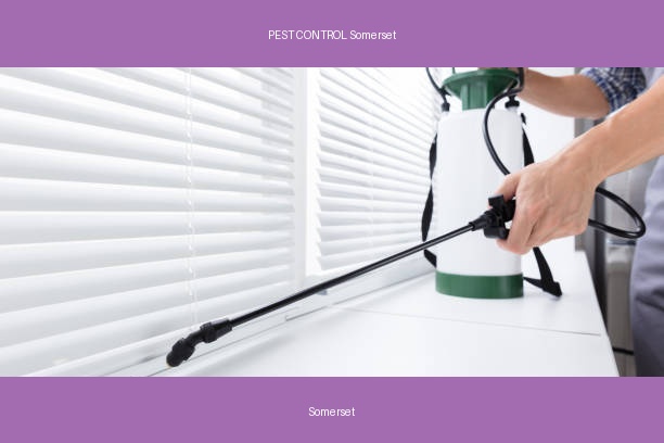 PEST CONTROL Somerset